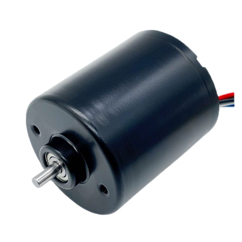 宜昌博遠(yuǎn)電子,宜昌微電機(jī)廠家,宜昌鐵芯碳刷馬達(dá)廠家,空心杯永磁直流微電機(jī)