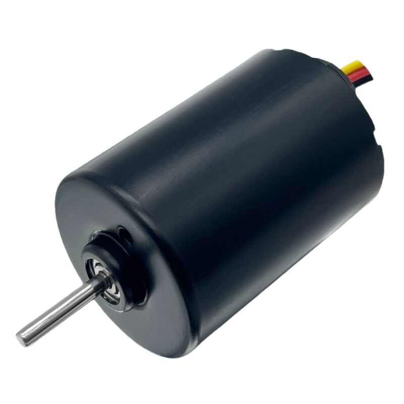 宜昌博遠電子,宜昌微電機廠家,宜昌鐵芯碳刷馬達廠家,空心杯永磁直流微電機