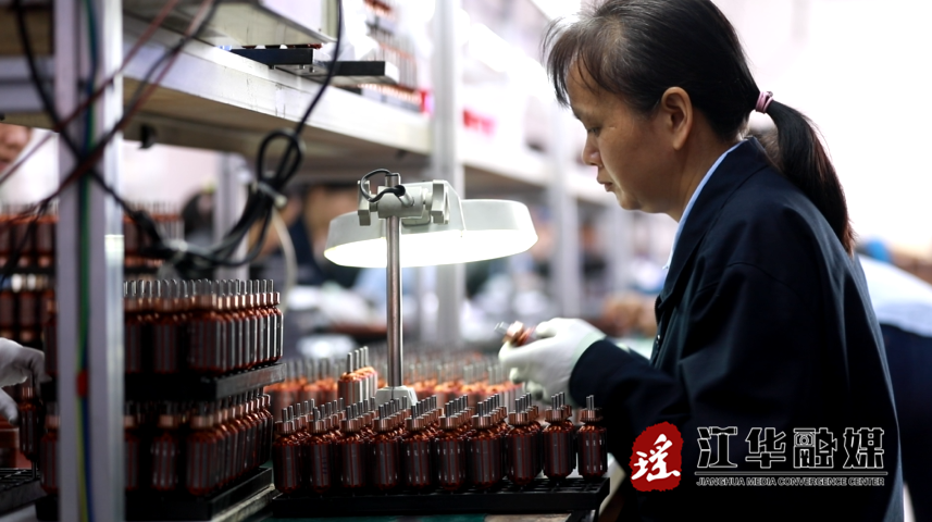 宜昌博遠(yuǎn)電子,宜昌微電機廠家,宜昌鐵芯碳刷馬達廠家,空心杯永磁直流微電機